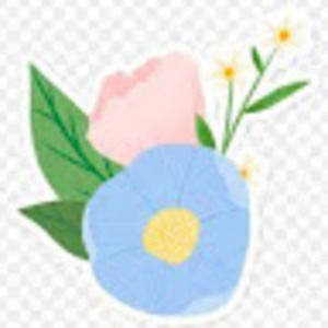 Meet your Posher, Quinn